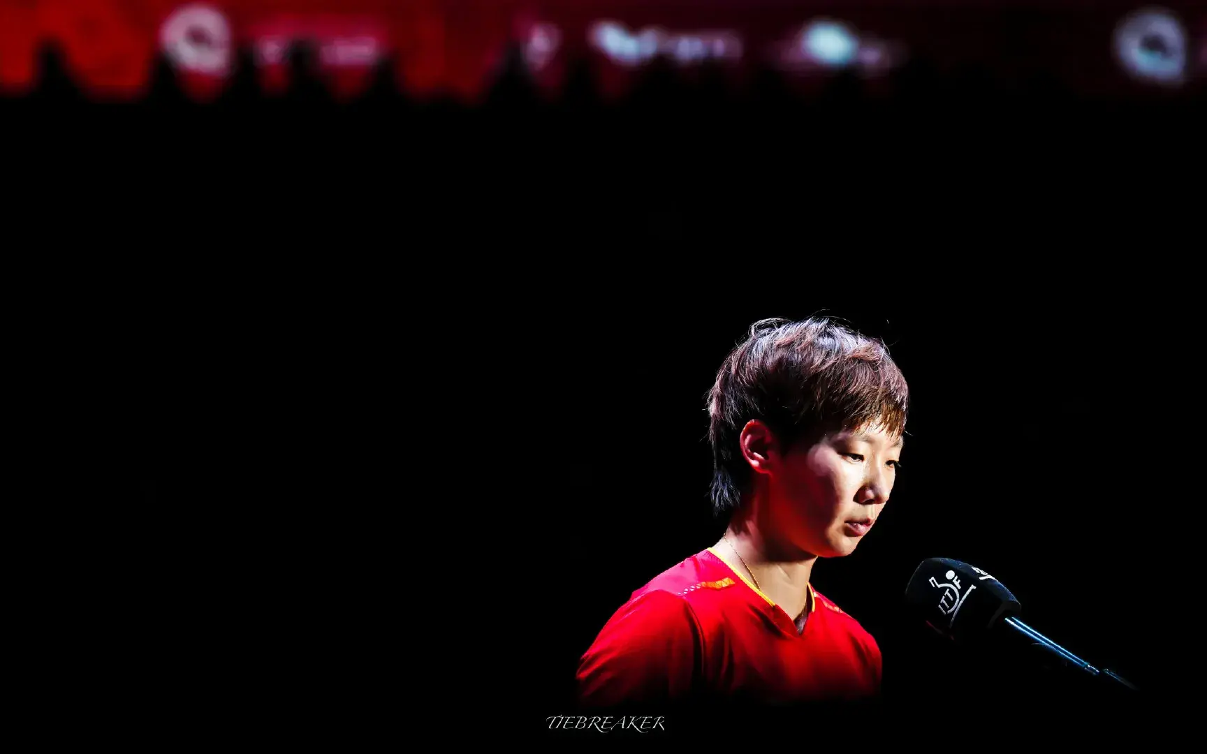 陈思羽, msn 陈思羽, msn