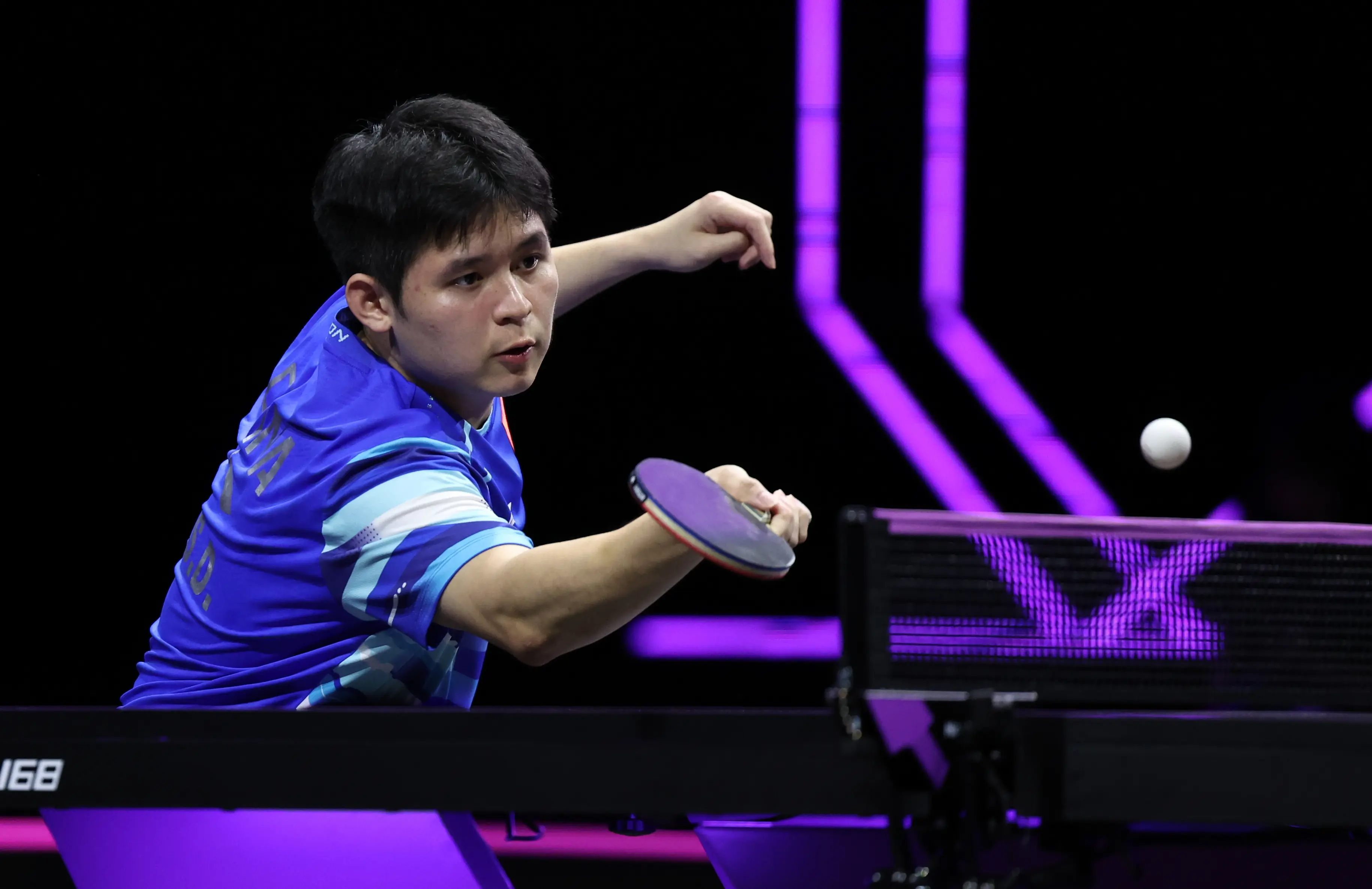 包揽女单, imedi, 种子 包揽女单, imedi, 种子