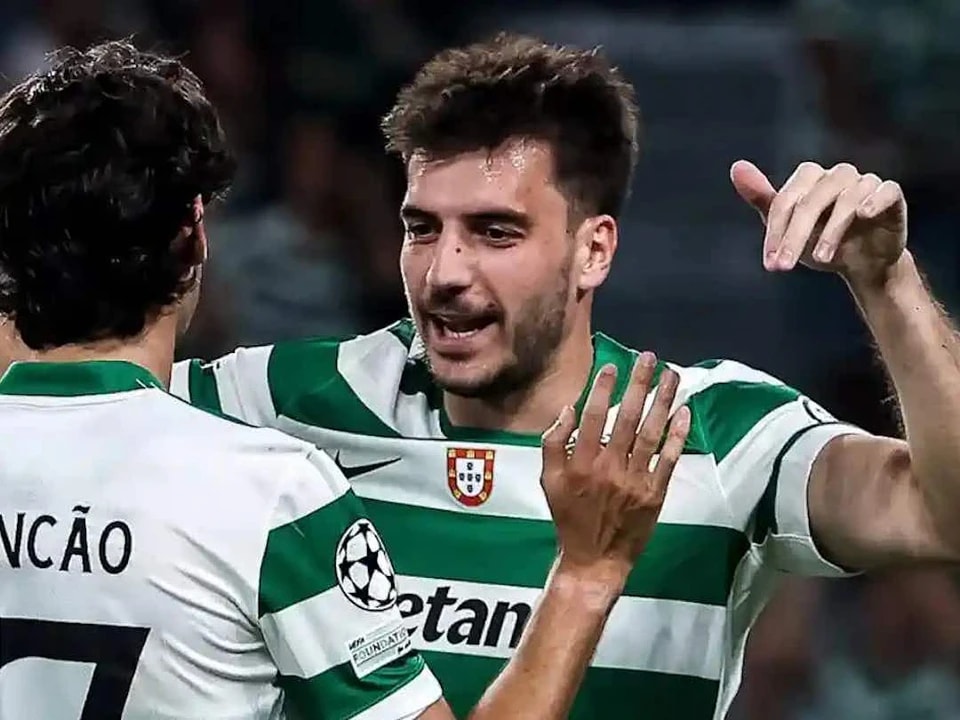 进来提供帮, 在葡萄牙体